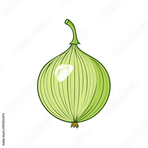 Fresh green spring onion with stem and roots drawing isolated on white background