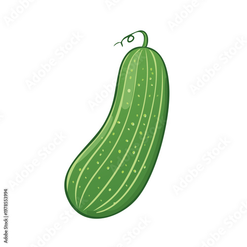 Green snake gourd vegetable with white speckles and curly stem illustration