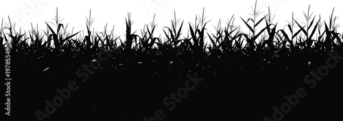 Black silhouette of corn field plants growing on farm landscape vector design.