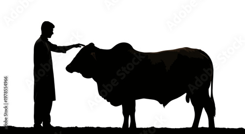 Eid ul Adha Black silhouette, man petting cow, animal illustration, farm scene, vector graphics isolated on White Background vector