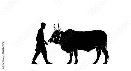 Eid ul Adha Black silhouette, man walking, leading cow, animal, farm, agriculture icon isolated on White Background vector