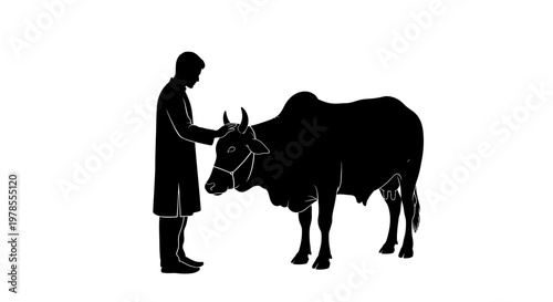 Eid ul Adha Farm animal, cow, man, agriculture, livestock, silhouette, black isolated on White Background vector
