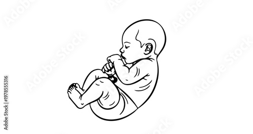 A minimalist vector illustration of a baby in a fetal position