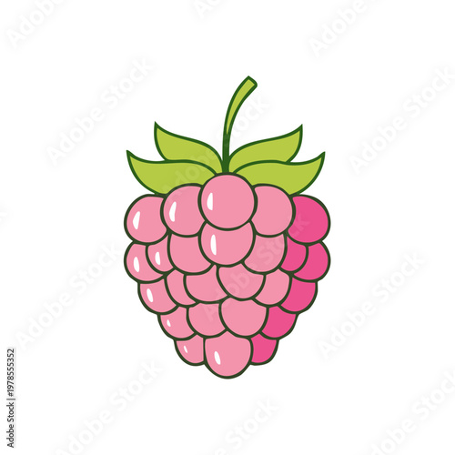 Pink raspberry with green leaves and stem illustration isolated on white