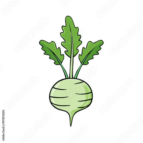 Cartoon illustration of a single green kohlrabi vegetable with broad leaves on a white background