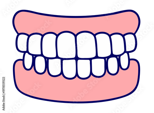 Straight Teeth and Correct Bite, Healthy Dental Alignment Smile