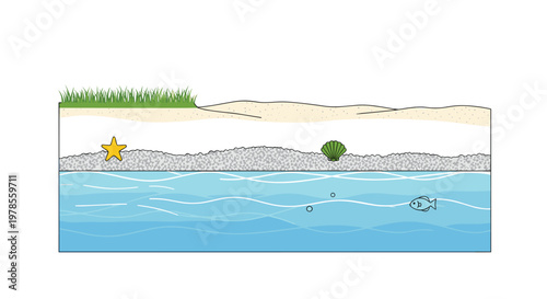 Underwater cross-section displays a sandy beach with a starfish and a seashell resting near a small fish swimming in clear blue water in isometric.