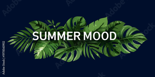 Tropical leaves and summer mood text on a dark blue background