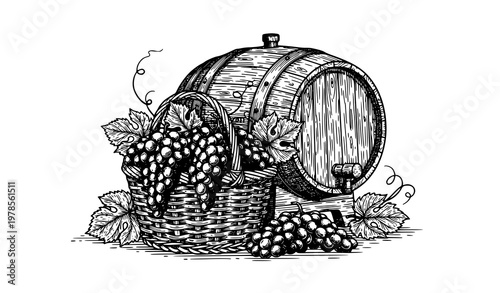 Vintage winery sketch basket of grapes and wine barrel vector illustration