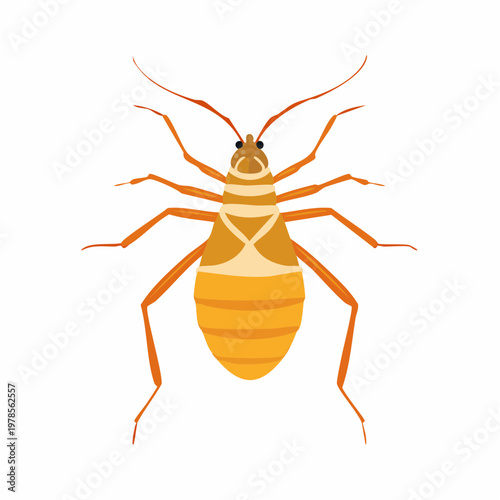 Illustration of a stylized orange insect with detailed segments and antenna