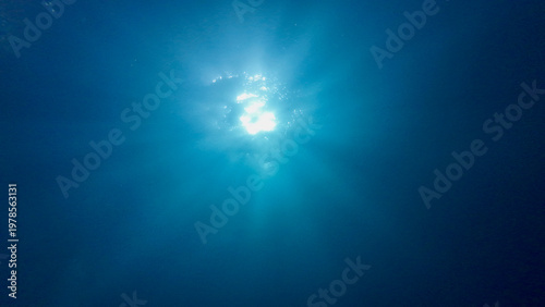 Cuadro en lienzo Bright sun seen from below through crystal clear water