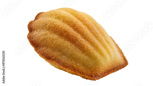 Obraz na plátně Golden brown french madeleine cookie with shell pattern, isolated on transparent