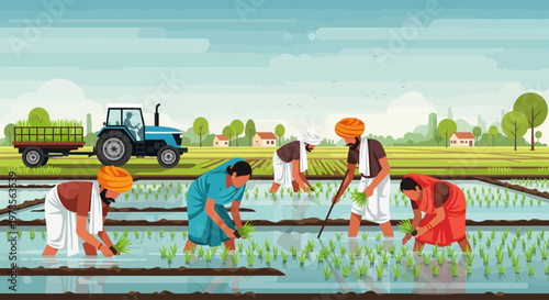 Indian farmers transplanting paddy in a rural field with tractor support, illustrating traditional rice cultivation and mechanized agriculture in village landscape