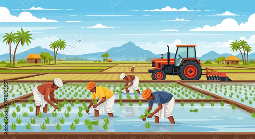 Indian farmers transplanting paddy in a rural field with tractor support, illustrating traditional rice cultivation and mechanized agriculture in village landscape