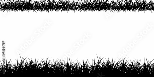 Black and white image of grass bordering a large white space