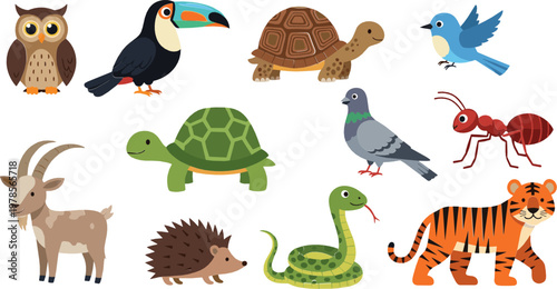 Animal Collection with Owl, Toucan, Turtle, Snake, Tiger, Goat, Bird, Ant, and Hedgehog – Vector Illustration