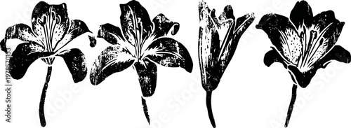 Black and white lily flower silhouettes in various bloom stages with stems and intricate petal details