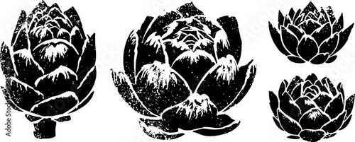 Black and white vintage artichoke illustrations set with detailed leaves and condensed shading