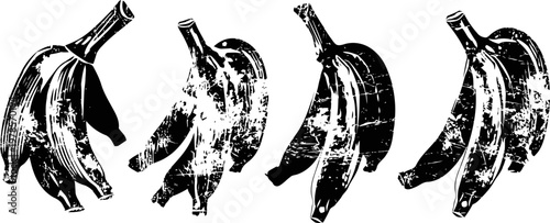 banana peel progression stages of banana peel from fresh to decayed isolated on white background