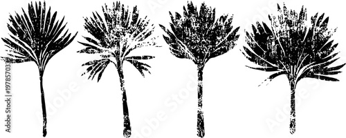 four black palm tree silhouettes isolated on white background, tropical tropical leaves set