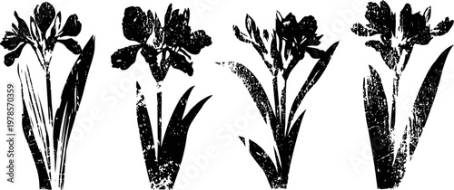 Black and white vintage floral silhouettes of four different blooming flowers with leaves and stems
