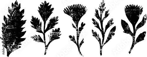 Vintage black silhouette herbs set of different detailed botanical leaves and stems