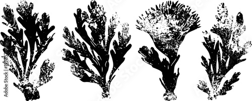 Vintage botanical illustrations of thistle flowers and leaves in black ink, scientific floral sketches set