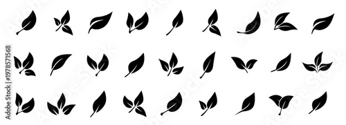 Leaf icons. Leaves of trees and plants. Leaves on white background. Ecology. Vector illustration.