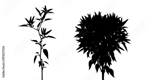 Chili Plant Density Vector with Few and Many Pepper Variations