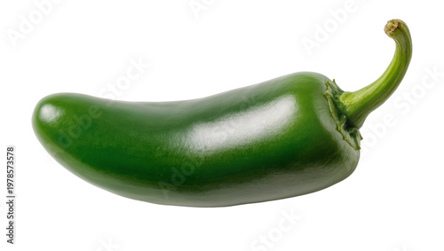 Single fresh green jalapeno pepper with curved stem isolated on transparent background