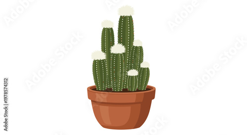 Tall columnar cactus stems topped with soft white fuzzy textures grow vertically inside a sturdy brown clay pot on a pristine white studio backdrop.