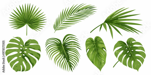 A collection of vibrant tropical leaves in various shapes and sizes