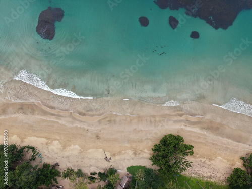 Top-down drone perspective over Magura Beach in Puerto Princesa reveals turquoise shallows with dark coral reef patches alongside wet sand drainage rivulets and coconut palm canopy under overcast sky