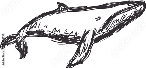 hand drawn sketch of a whale swimming in the ocean, detailed black ink illustration