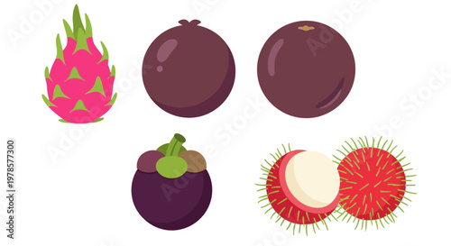 Assortment of exotic tropical fruits including dragon fruit, mangosteen and rambutan