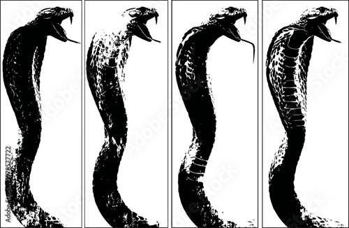 Black and white silhouette illustrations of aggressive cobra snakes with open mouths and hoods flared
