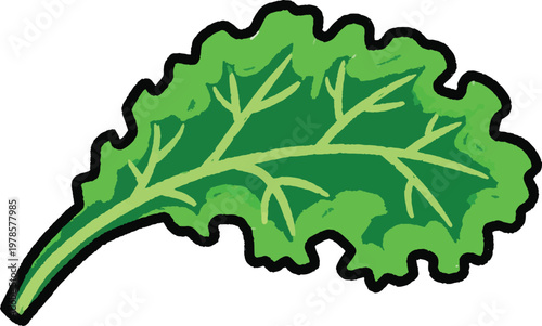 A stylized illustration of a dark green kale leaf against a white and black striped background. The leaf has a detailed, textured appearance with prominent veins and a slightly jagged edge.