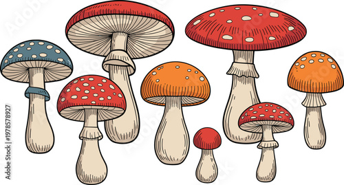 set of mushrooms