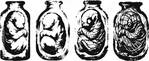 stages of fetus development inside jars scientific illustration of embryonic growth and human formation process