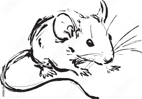black and white sketch of a small mouse with detailed whiskers and tail