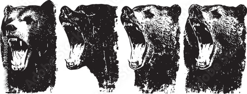 Vintage roaring bear heads illustration set, aggressive wildlife sketch collection, monochrome animal art