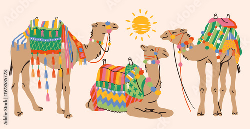 Various Camels with traditional Arabian saddles, different colorful blankets, carpets. Lying, sitting, standing camels in different poses. Hand drawn Vector illustration. Isolated design elements 