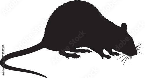 Rat Black Silhouette Vector Rodent Animal Icon