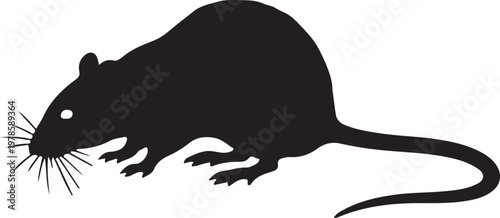 Rat Black Silhouette Vector Rodent Animal Icon