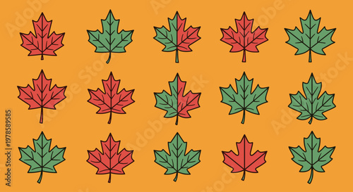 Colorful maple leaves in red green.