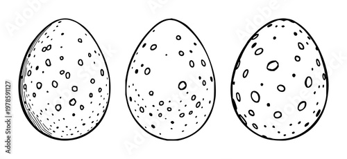 Bird egg set with hand‑drawn line art featuring bird egg, speckled pattern, line art with white background and illustration