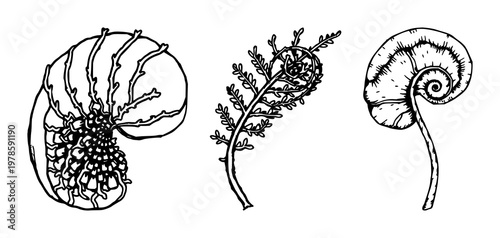 Fern spore case set with detailed hand-inked organic illustration featuring spores, botanical detail, line art with minimalist style and white background