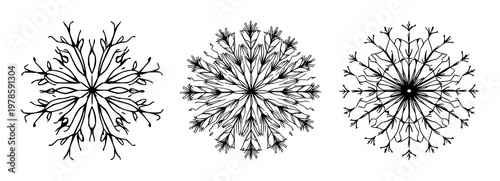 Microscopic diatoms set with hand‑drawn line art symmetry featuring microscopic organisms, botanical illustration, scientific graphics with white background and detailed design