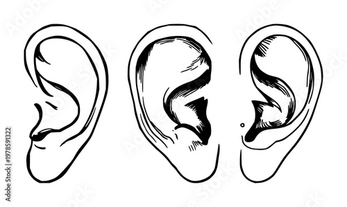 Human ear canal anatomy set with detailed hand-drawn line art featuring human ear, inner ear, cartilaginous structure with labels and anatomy