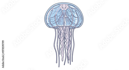 A large blue jellyfish in water.